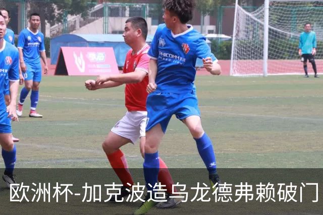 欧洲杯-加克波造乌龙德弗赖破门 荷兰2-1土耳其