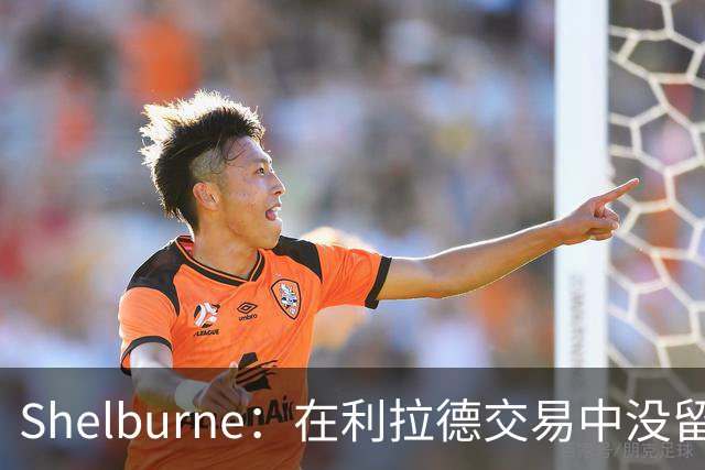 Shelburne：在利拉德交易中没留住霍勒迪是字母哥离开雄鹿的原因